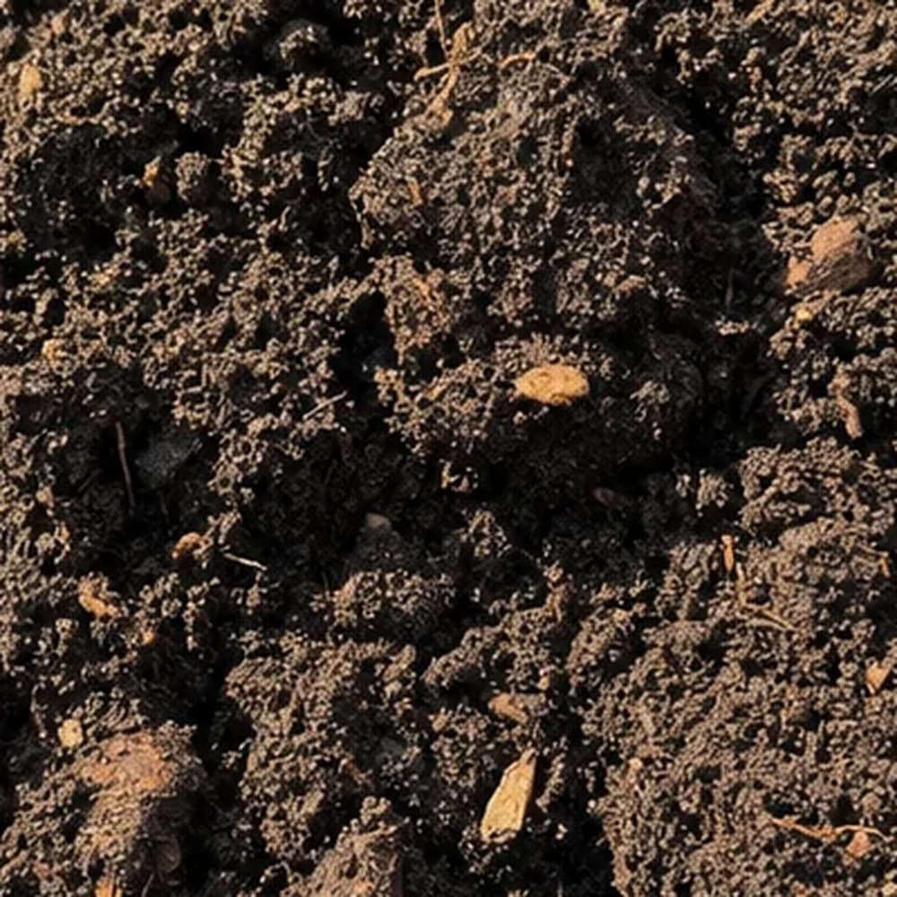 Garden Soil
